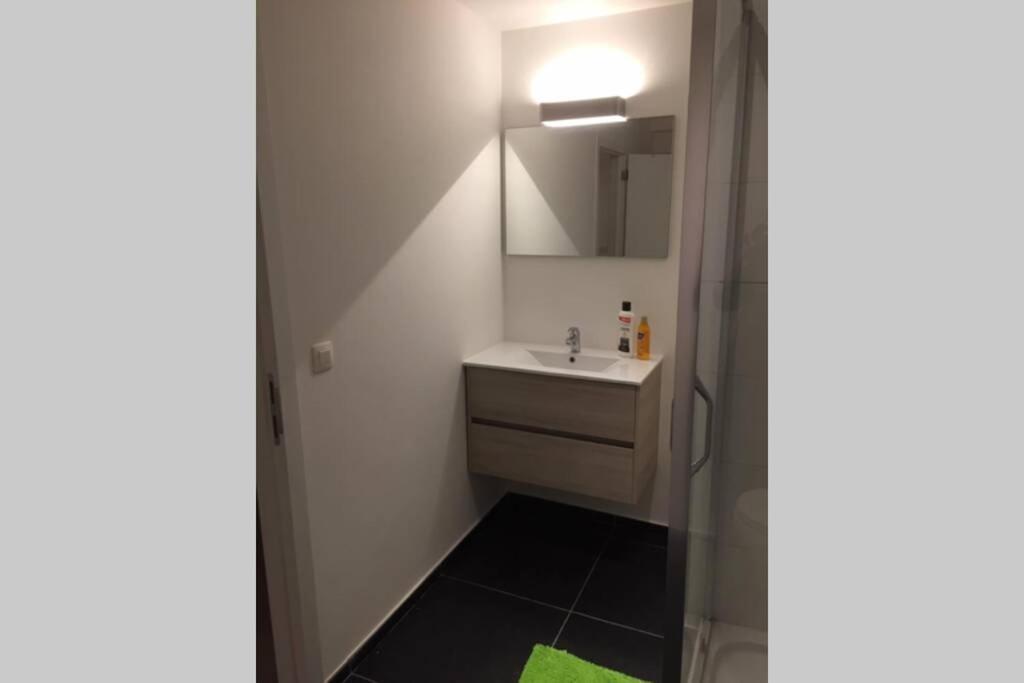 Appartement Duplex Pour 3-4 Personnes A Ciney Eksteriør bilde